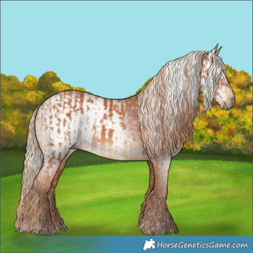 Horse Color:Chestnut and Gray Chestnut