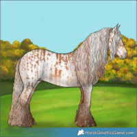 Horse Color:Chestnut and Gray Chestnut