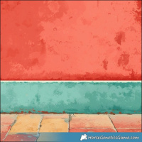 Horse Color:Brown Dun Splash Appaloosa Rabicano 