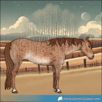 Horse Color:Chestnut  and Red Dun 