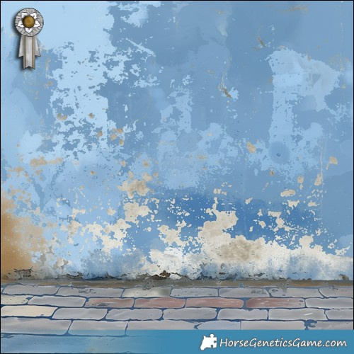 Horse Color:Brown Appaloosa 