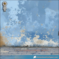 Horse Color:Brown Appaloosa