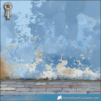 Horse Color:Brown Appaloosa 