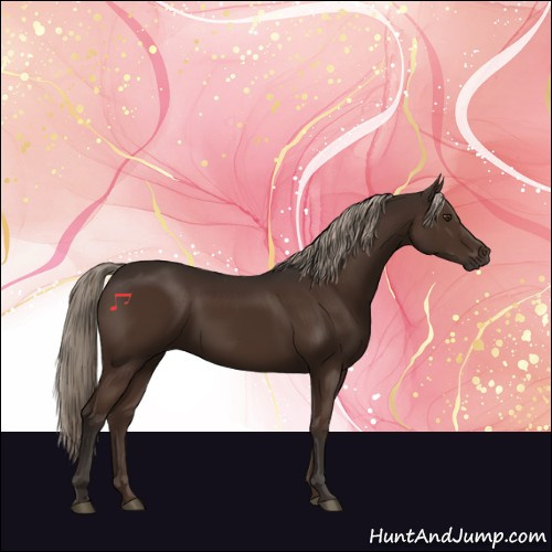 Horse Color:Liver Chestnut Rabicano