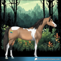 Horse Color:Bay Dun Tobiano