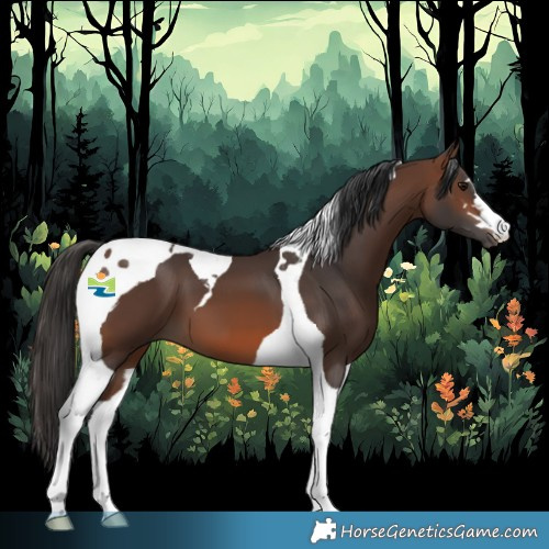 Horse Color:Brown Tobiano 