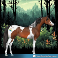 Horse Color:Brown Tobiano 