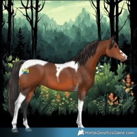 Horse Color:Brown Tobiano 