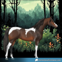 Horse Color:Brown Tobiano 
