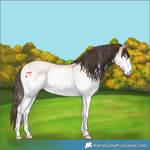 Horse Color:White Spotted Amber Champagne