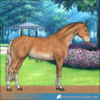 Horse Color:Chestnut  and Chestnut 