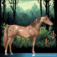Horse Color:White Spotted Gold Champagne 