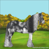 Horse Color:White Spotted Black Splash Tobiano Frame Appaloosa 