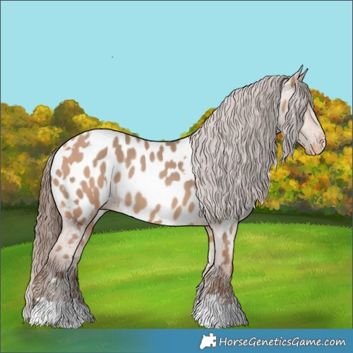 Horse Color:Amber Champagne Appaloosa  and Amber Champagne Appaloosa 