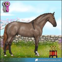 Horse Color:Liver Red Dun Rabicano 