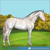 Horse Color:White Spotted Smoky Creme Dun Sabino 