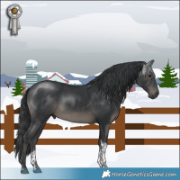 Horse Color:Black Mushroom Sabino Tobiano Rabicano
