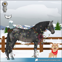 Horse Color:Black Mushroom Sabino Tobiano Rabicano 