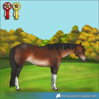Horse Color:Brown Tobiano Rabicano 