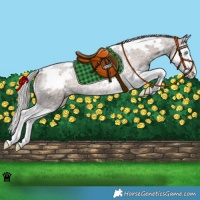 Horse Color:White Spotted Silver Blue Roan Splash Varnish Rabicano
