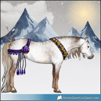Horse Color:Gray Chestnut and Gray Chestnut