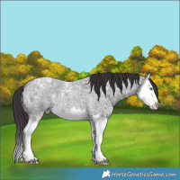 Horse Color:Smoky Blue Ice Roan Splash 