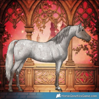 Horse Color:White Spotted Silver Blue Roan 