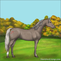 Horse Color:Silver Grullo 