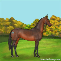 Horse Color:Brown 