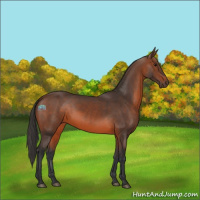 Horse Color:Brown 