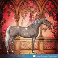 Horse Color:White Spotted Silver Blue Roan 