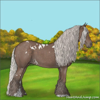 Horse Color:White Spotted Silver Blue Roan 