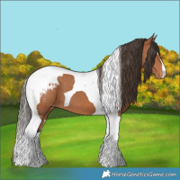 Horse Color:Bay Tobiano Varnish