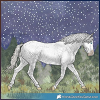 Horse Color:White Spotted Cremello Roan Dun Varnish Rabicano 