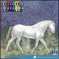 Horse Color:Buckskin Pearl Dun Tobiano Appaloosa Rabicano