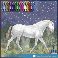 Horse Color:Buckskin Pearl Dun Tobiano Appaloosa Rabicano