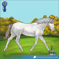 Horse Color:Buckskin Pearl Dun Tobiano Appaloosa Rabicano 