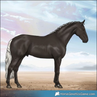 Horse Color:Liver Chestnut Mushroom 