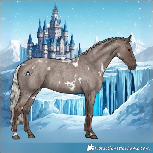 Horse Color:White Spotted Silver Blue Roan 