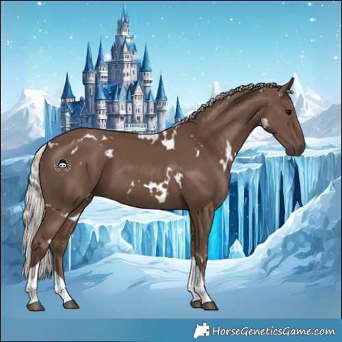 Horse Color:White Spotted Silver Black Tobiano 