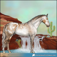 Horse Color:Gray Chocolate Palomino Dun Tobiano Appaloosa  and Gray Chocolate Palomino Dun Tobiano Appaloosa 