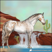 Horse Color:Gray Chocolate Palomino Dun Tobiano Appaloosa  and Gray Chocolate Palomino Dun Tobiano Appaloosa 
