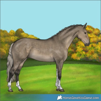 Horse Color:Gray Silver Smoky Grullo Tobiano 
