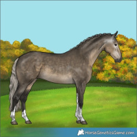 Horse Color:Gray Silver Smoky Grullo Tobiano 