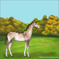 Horse Color:White Spotted Liver Red Onyx Pearl Sabino Splash 