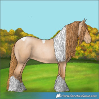 Horse Color:Red Roan Pearl Tobiano