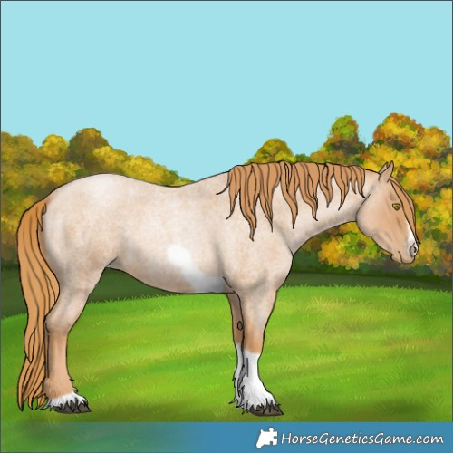 Horse Color:Red Roan Pearl Tobiano Frame 