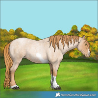 Horse Color:Red Roan Pearl Tobiano Frame 