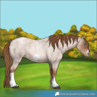Horse Color:Liver Red Roan Pearl Tobiano Frame 