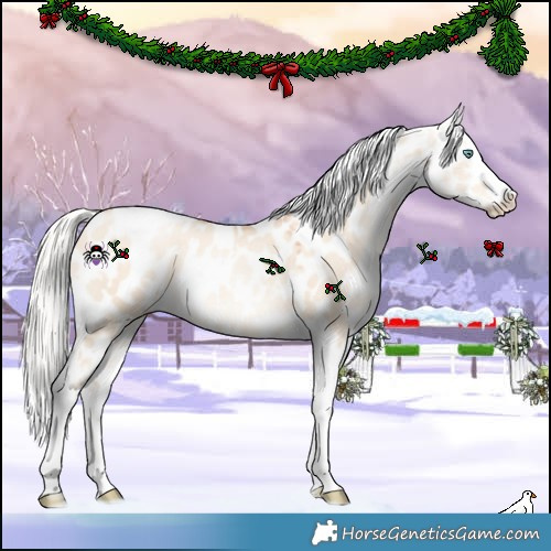 Horse Color:White Spotted Silver Sable Champagne Pearl Dun Tobiano Appaloosa 